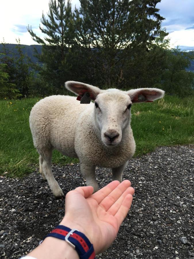 Pyntaberget Hotell Sør-Fron 외부 사진